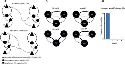 Network Changes in Insula and Amygdala Connectivity Accompany Implicit Suicidal Associations